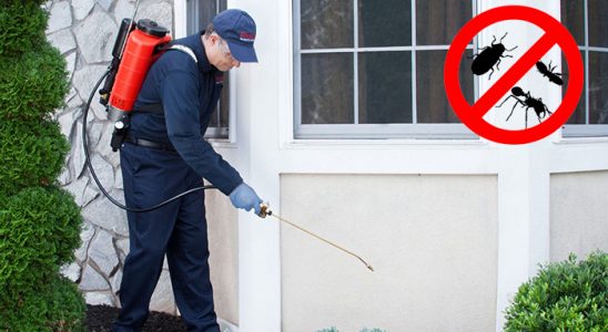 Horasan Akrep İlaçlama böcek ilaçlama ve haşere kontrolü — ilaclama-tr.com
